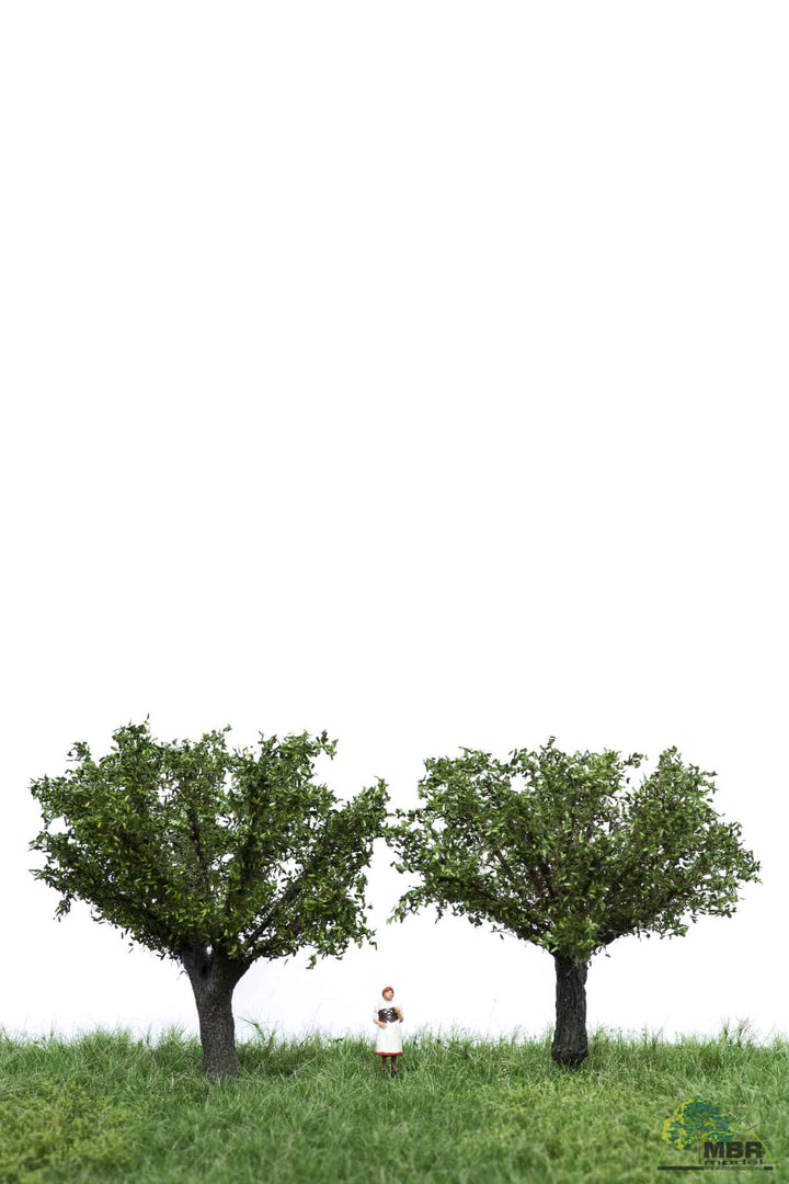 MBR WILLOW TREE - VARIOUS SEASONS