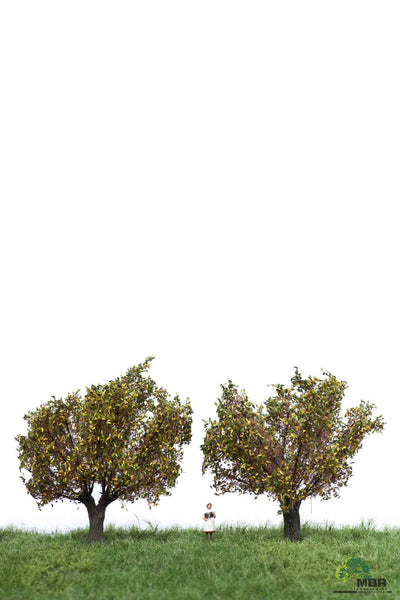 MBR WILLOW TREE - VARIOUS SEASONS
