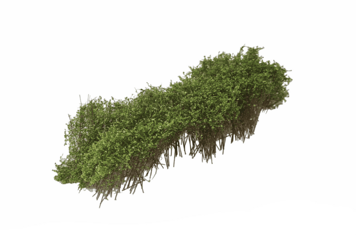 MBR Struikgewas Groen 3-4 cm – Realistische Scenery voor Modelbouw