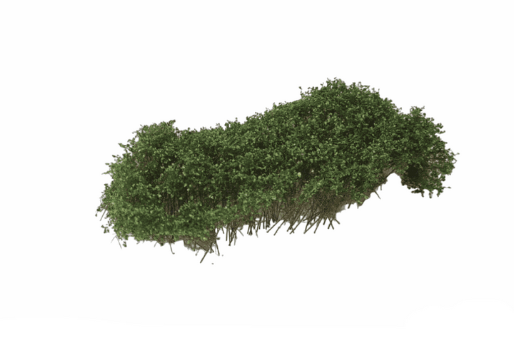 MBR Struikgewas Middengroen 3-4 cm – Natuurlijke Scenery voor Modelbouw