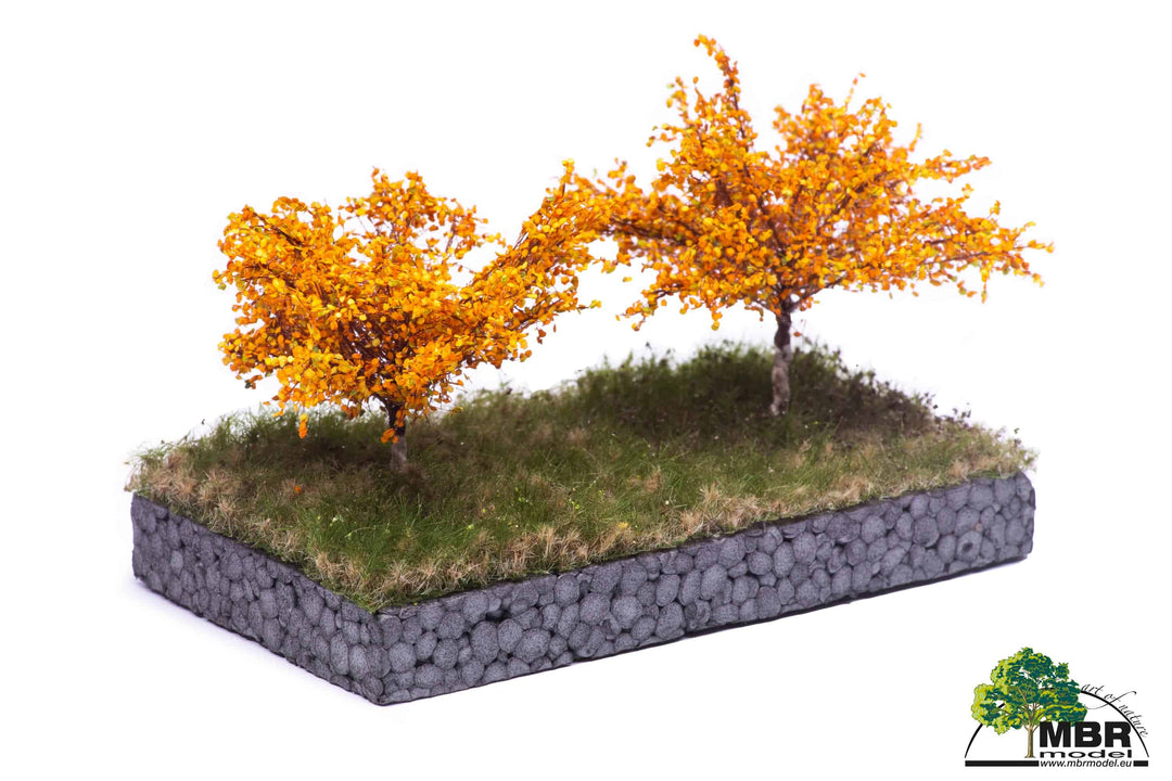 MBR APPLE TREE - VARIOUS SEASONS - REALISM