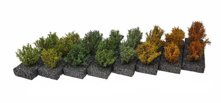 Medium Shrubs in Various Colors